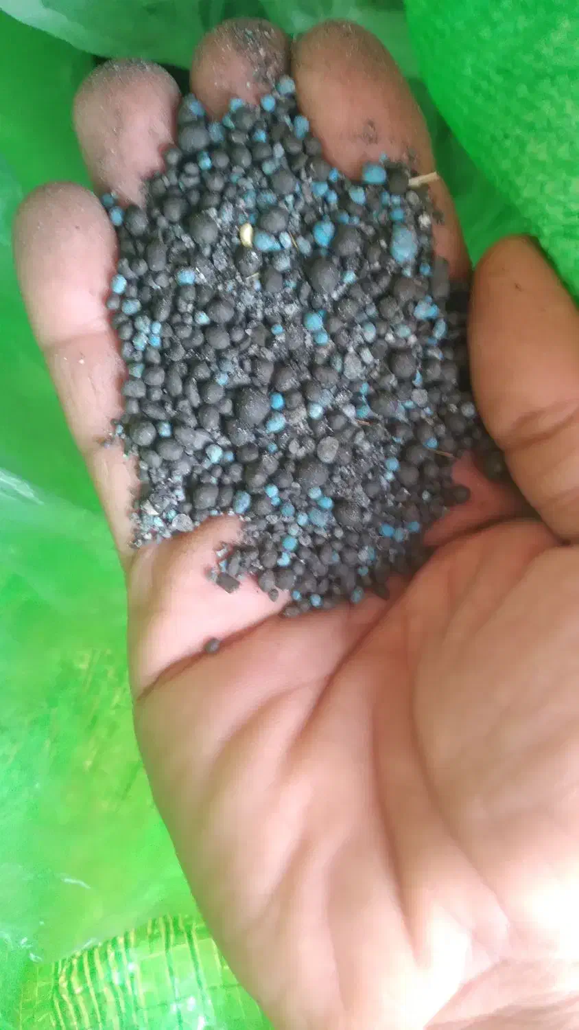 کود سیاه مخصوص کشاورزی‌|گل و گیاه طبیعی|چمران, |دیوار