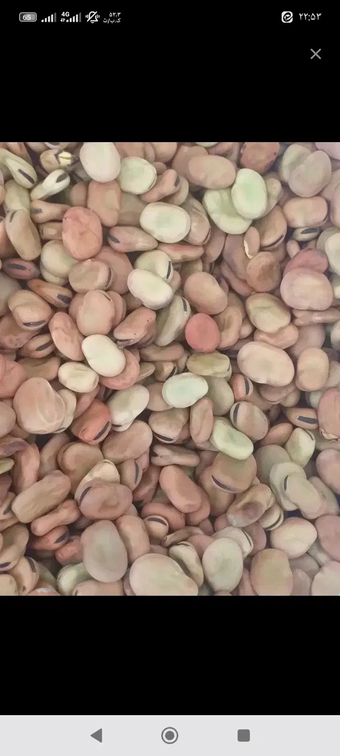 باقلاخشک|خوردنی و آشامیدنی|گرگان, |دیوار