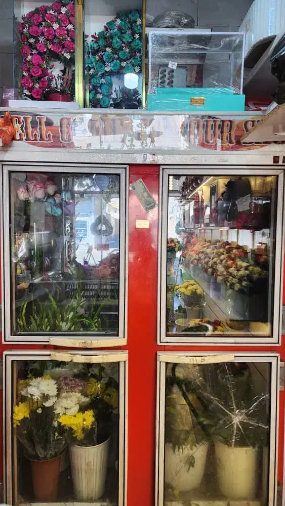 یخچال 4درب ایستاده|یخچال و فریزر|داراب, |دیوار