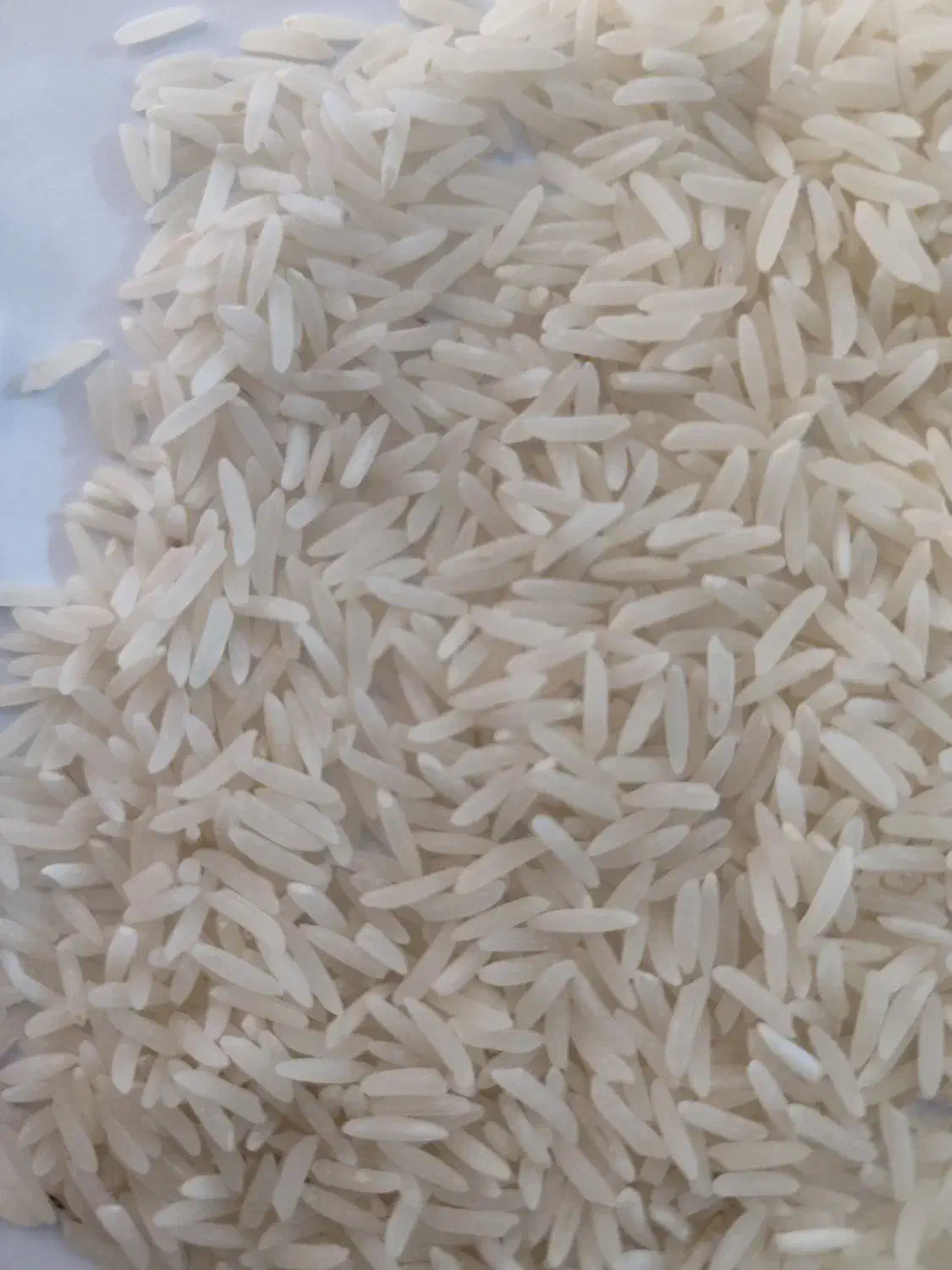 برنج درجه یک فجر کیلو۲۳۰|خوردنی و آشامیدنی|مزرعه کتول, |دیوار