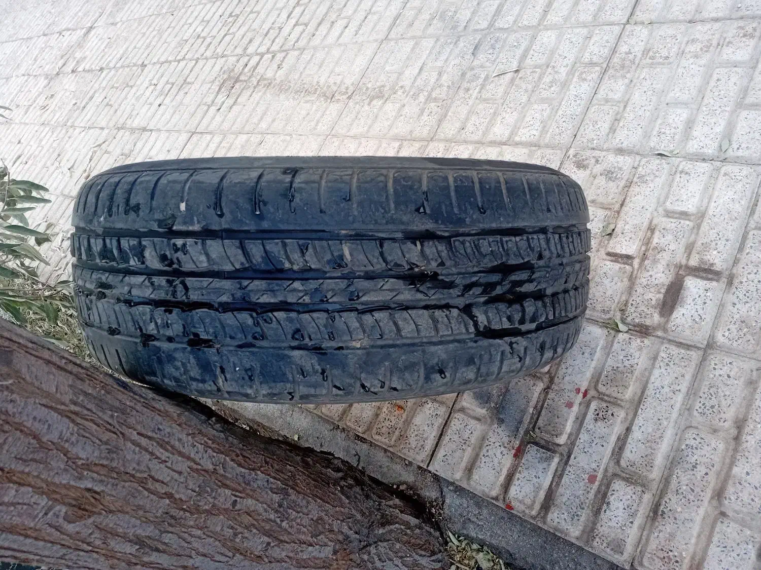 یک دست رینگ ۱۵پنچ پردوشاخ|قطعات یدکی و لوازم جانبی|بکتاش, |دیوار