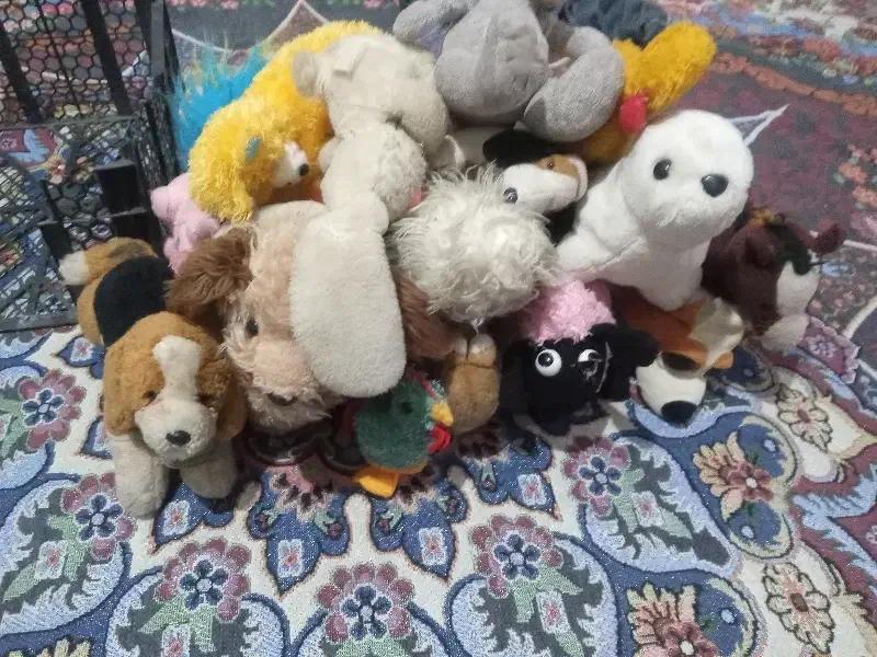 عروسک|اسباب‌بازی بچه|خرم‌آباد, |دیوار