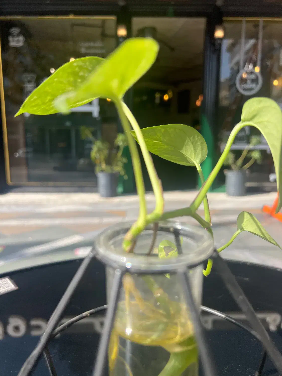 دعوت به همکاری|استخدام خدمات فروشگاه و رستوران|تهران, یوسف‌آباد|دیوار