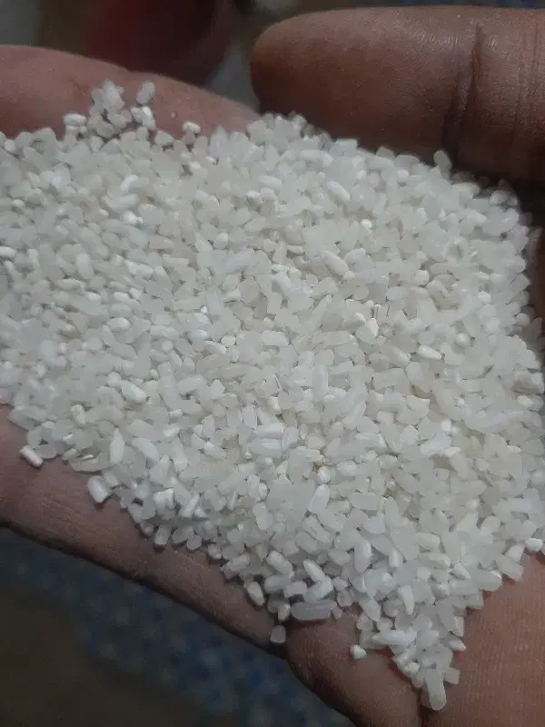 برنج عنبربو امسال بو و طعم فوق العادست|خوردنی و آشامیدنی|چمران, |دیوار