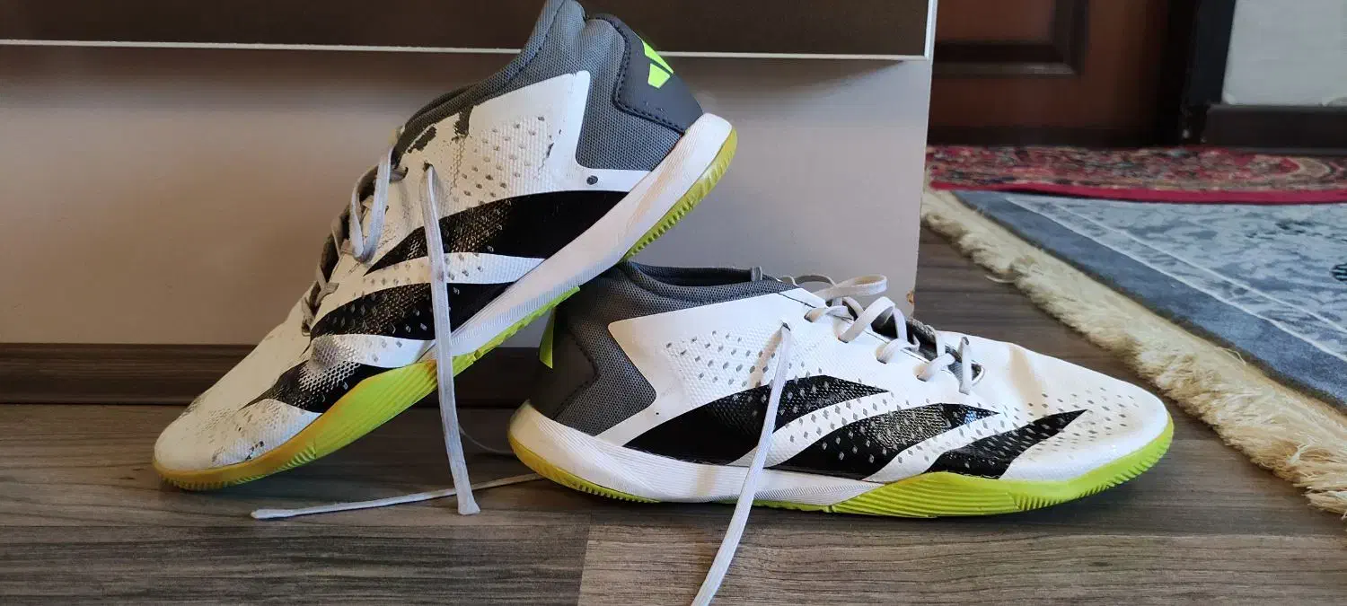 کفش سالنی آدیداس پریدیتور اصل|کیف، کفش، کمربند|هشترود, |دیوار