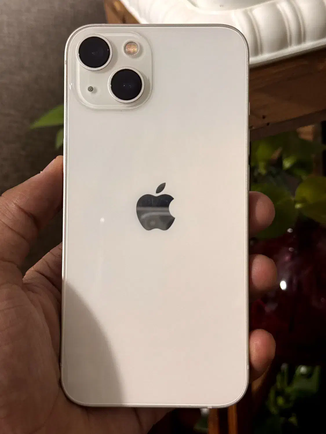 iphone 13 normal 256 cha|موبایل|شیراز, پارک آزادی|دیوار