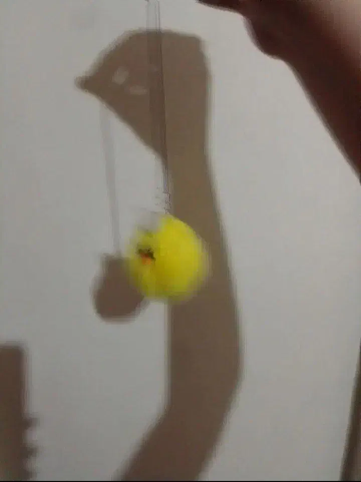 جوجه رنگی|صنایع دستی و سایر لوازم تزئینی|ساوه, |دیوار