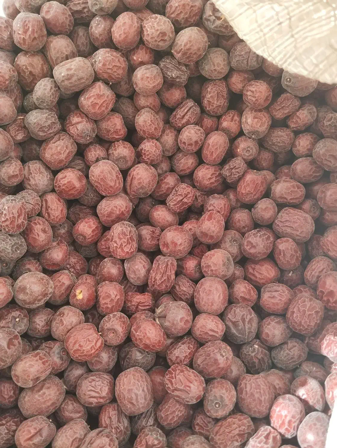 عناب|خوردنی و آشامیدنی|اصفهان, دانشگاه افسری امیرالمومنین|دیوار