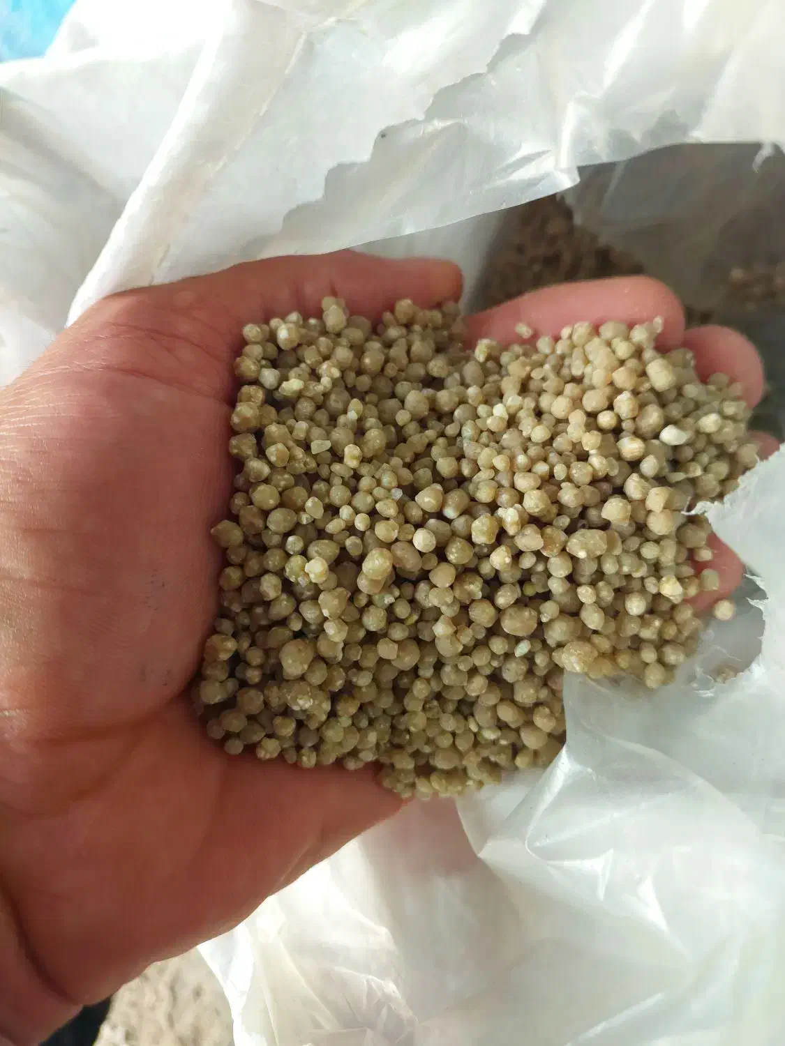 فروش  کود شیمیایی پائیزه برای گندم|خدمات باغبانی و درختکاری|شیرینسو, |دیوار