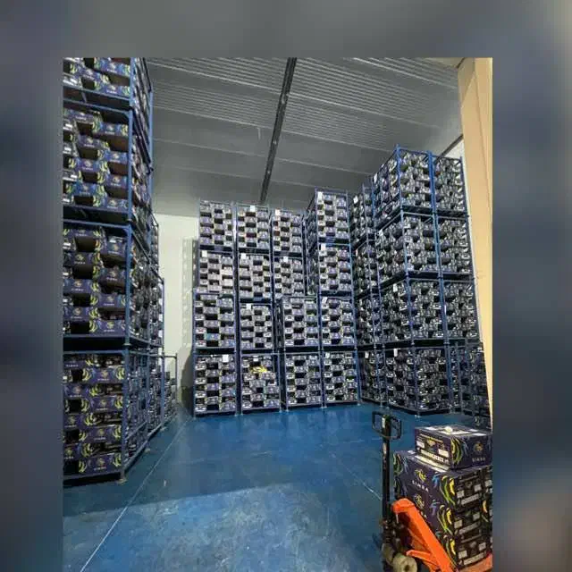 استخدام راننده لیفتراک حرفه ای در سردخانه  میوه|استخدام صنعتی، فنی، مهندسی|شیراز, شهرک صنعتی شیراز|دیوار
