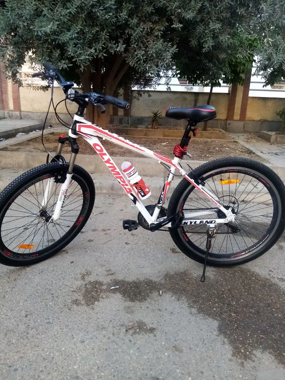 دوچرخه المپیا آلومینیوم|دوچرخه، اسکیت، اسکوتر|گنبد کاووس, |دیوار