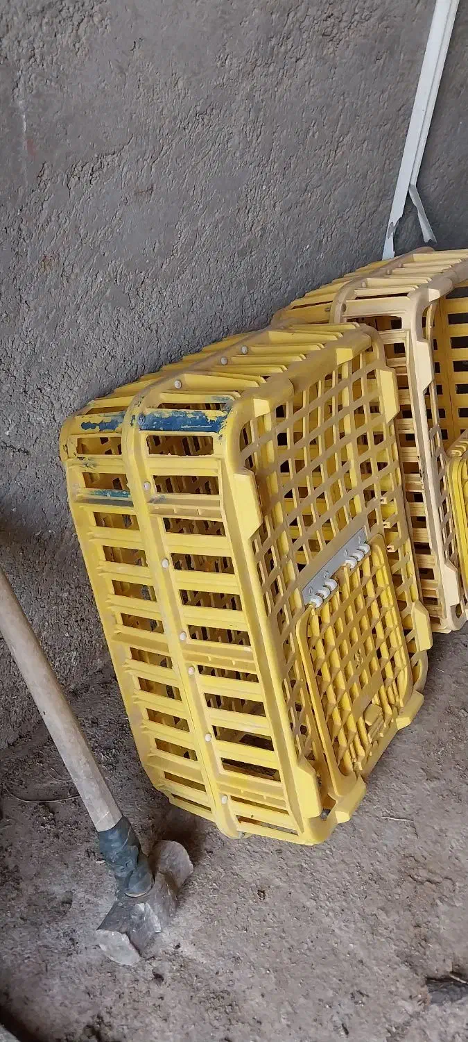 جعبهی حیوانات|لوازم جانبی حیوانات|زنجان, |دیوار