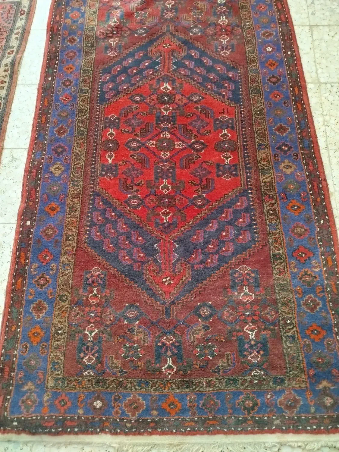 فرش پ قالی دستباف|فرش|قزوین, |دیوار