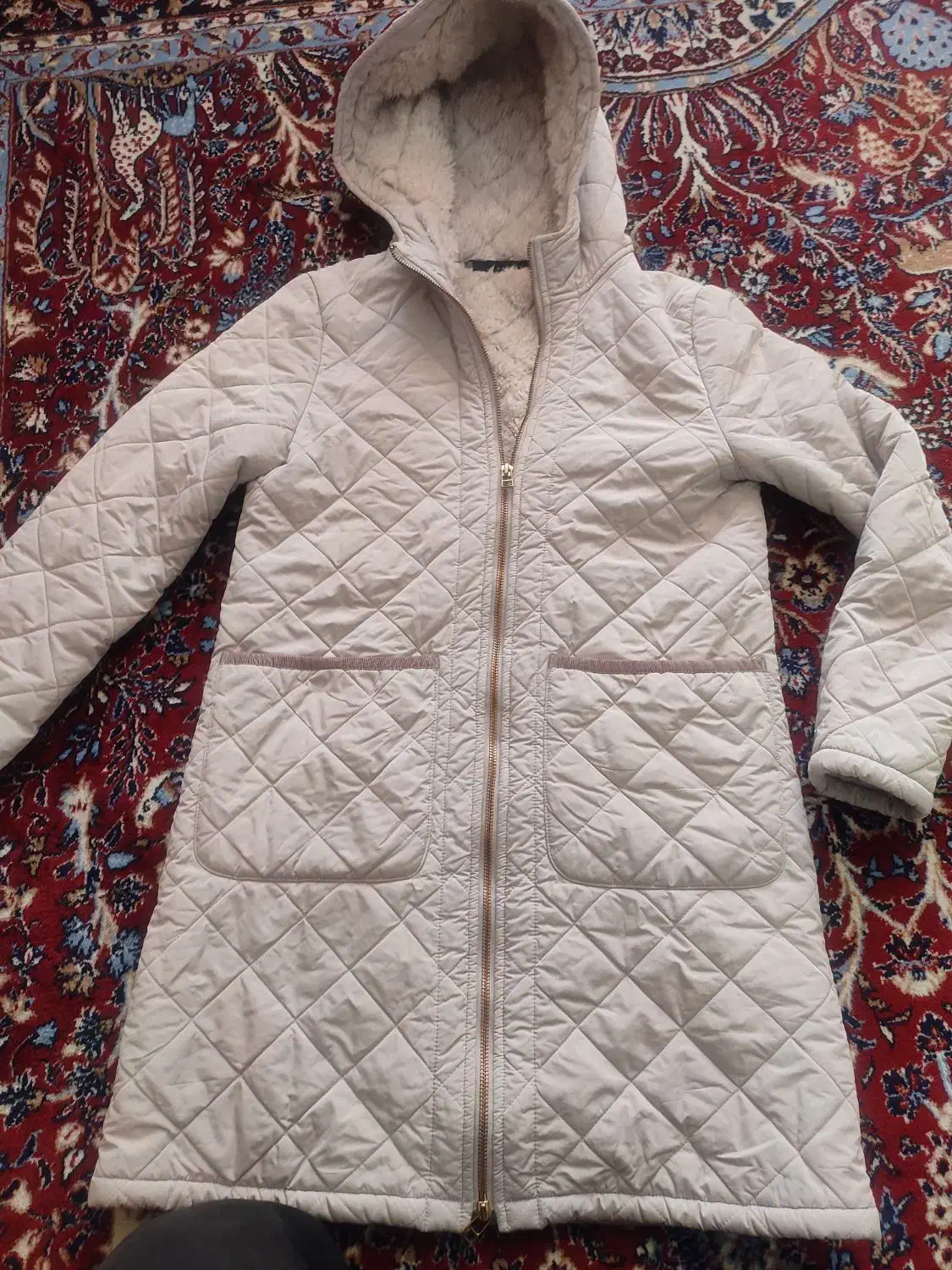 پالتو|لباس|شیراز, اصلاح‌نژاد|دیوار