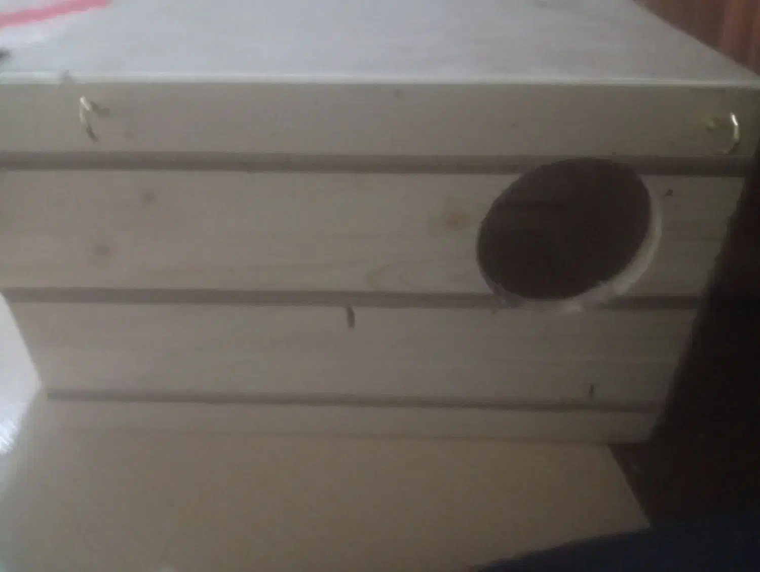 لونه ی پرنده|لوازم جانبی حیوانات|فیروزآباد (فارس), |دیوار