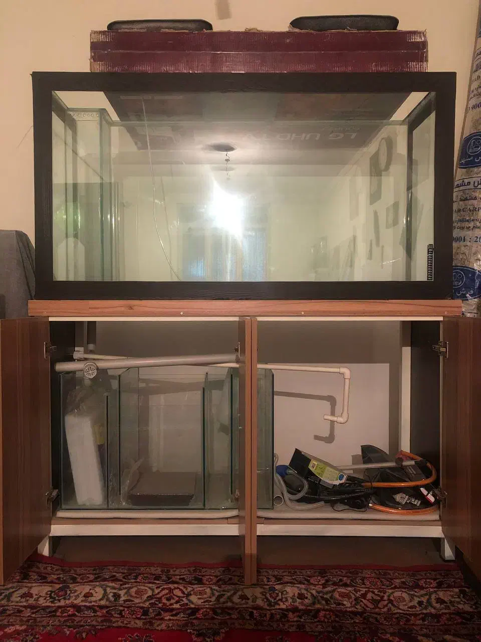 اکواریوم|ماهی|همدان, |دیوار