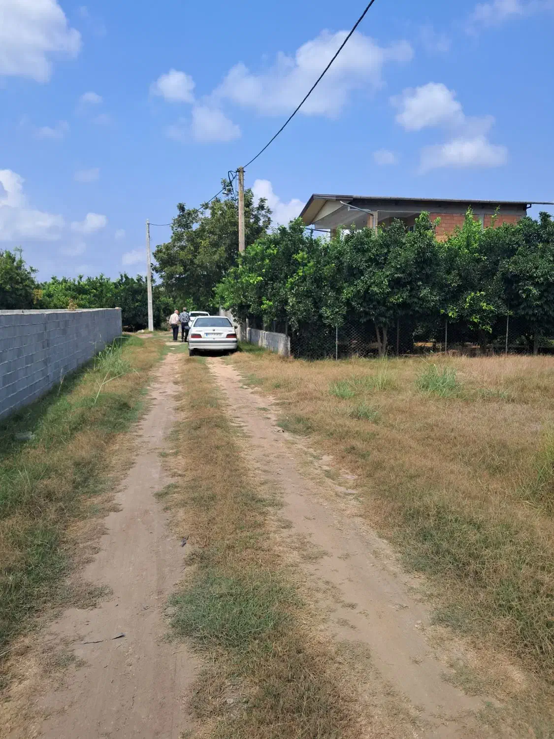 خونه باغ|فروش خانه و ویلا|کیاکلا, |دیوار