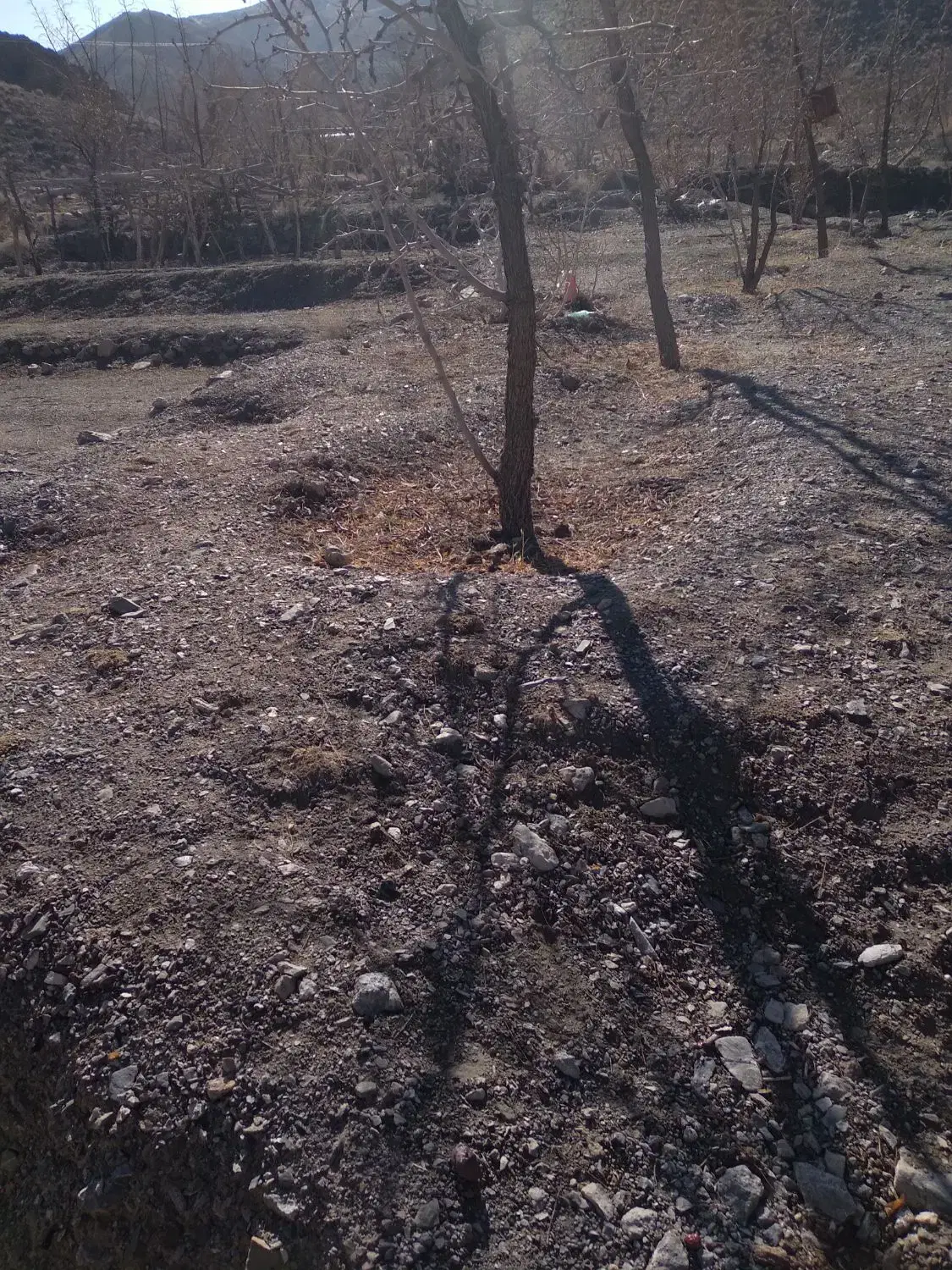 تصویر 6