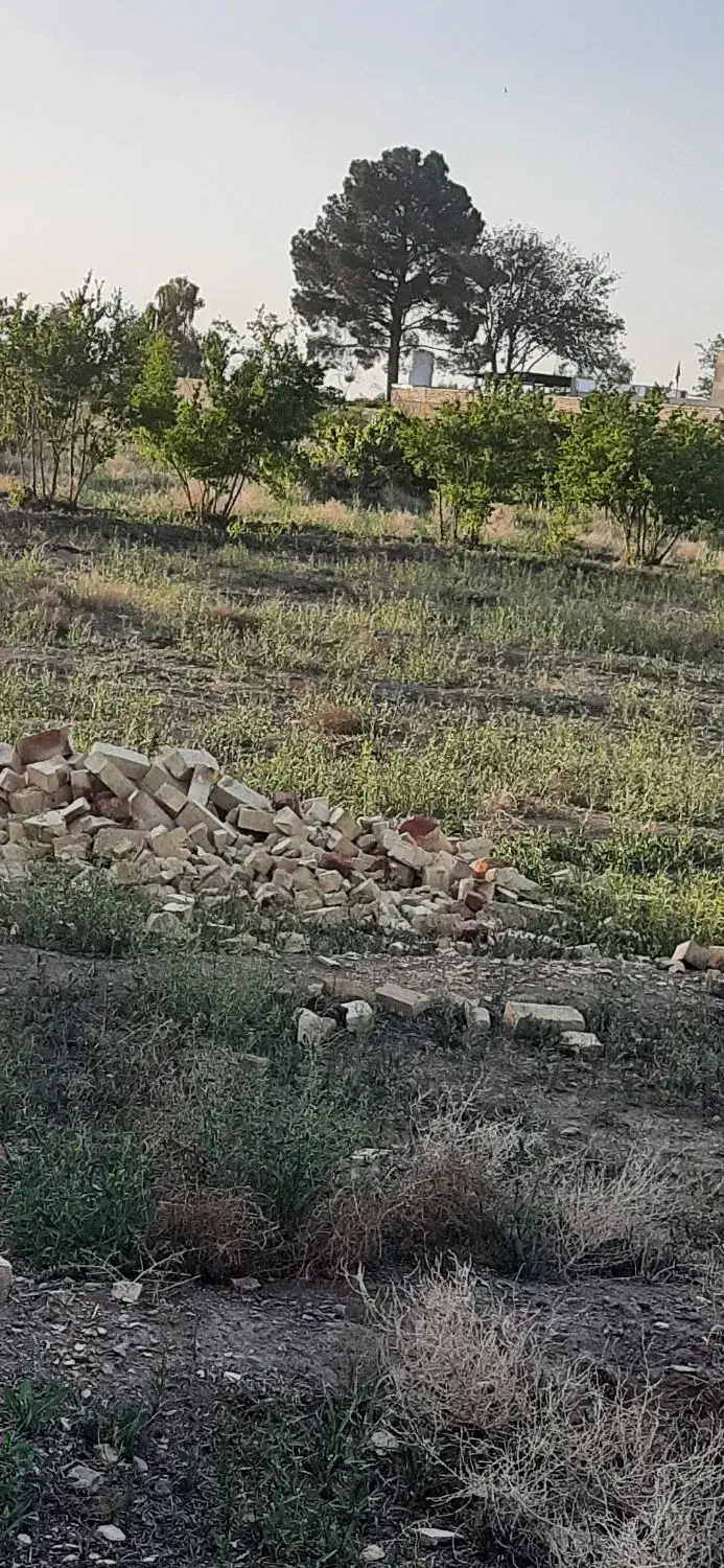 زمین کشاورزی در روستای جنت آباد باکاربری باغ|فروش زمین و ملک کلنگی|قنوات, |دیوار