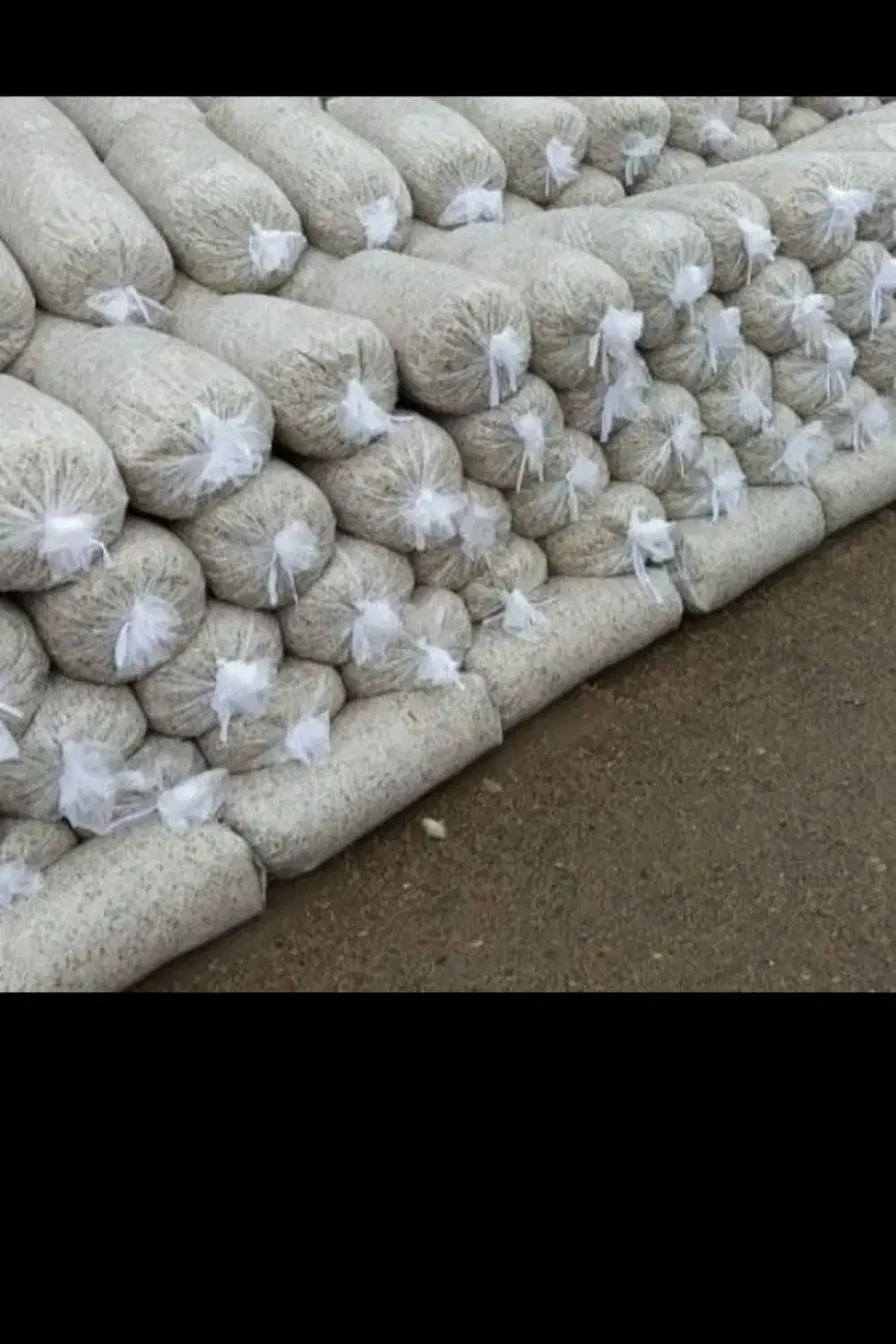 تفاله چغندر تفاله سیب علوفه ذرت|لوازم جانبی حیوانات|سراب, |دیوار