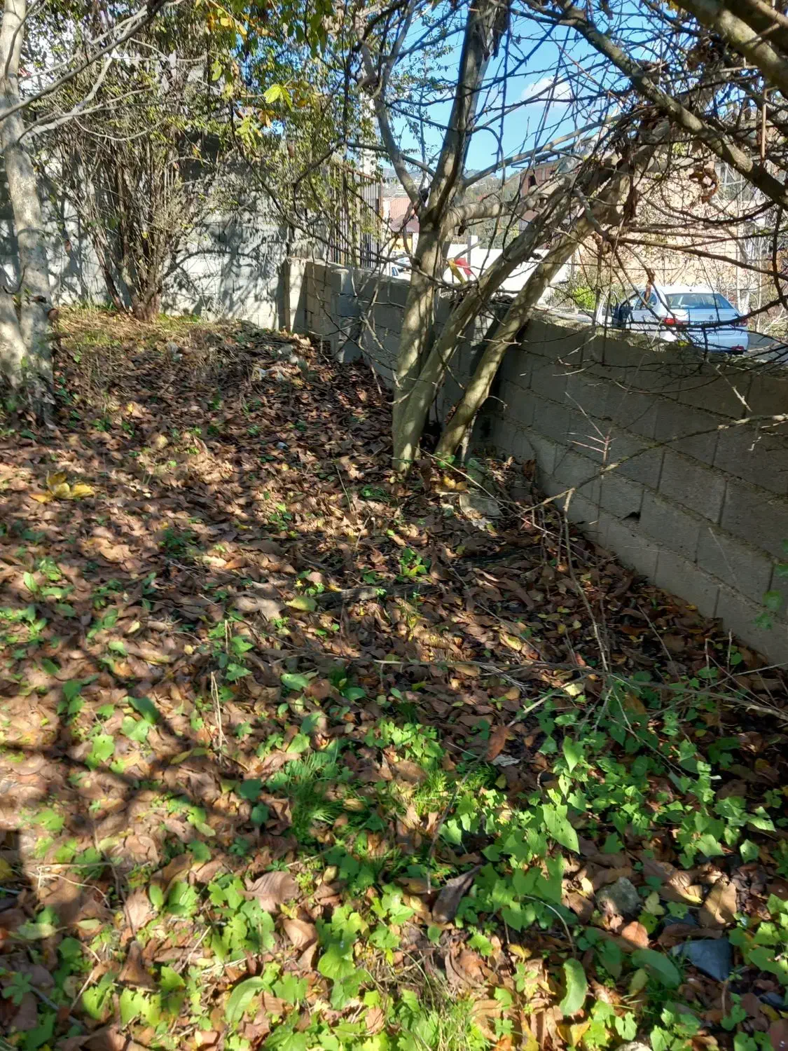 زمین روستائی|فروش زمین و ملک کلنگی|زیرآب, |دیوار