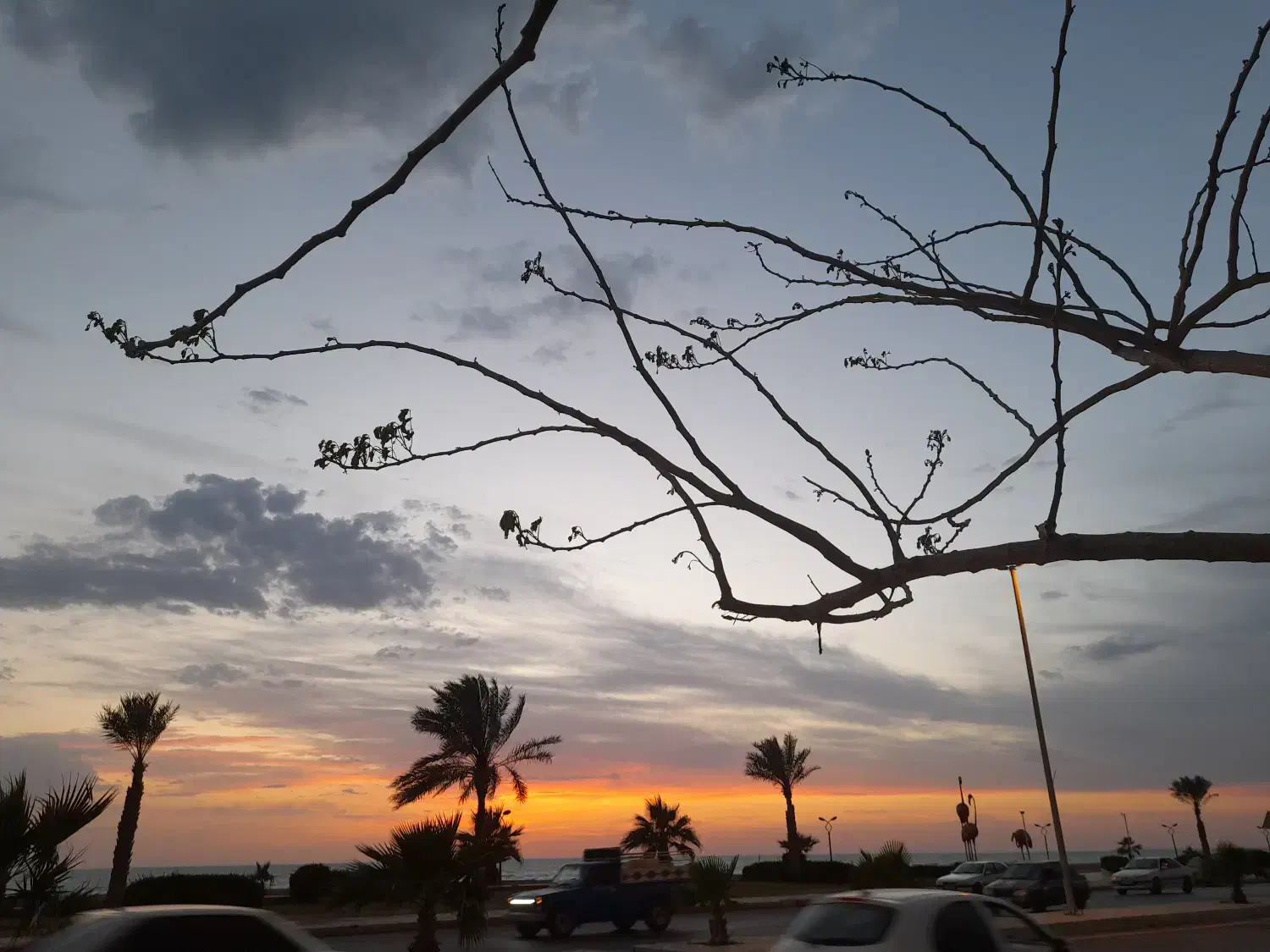 پیدا شدن گمشده|اشیا|بندر گناوه, |دیوار