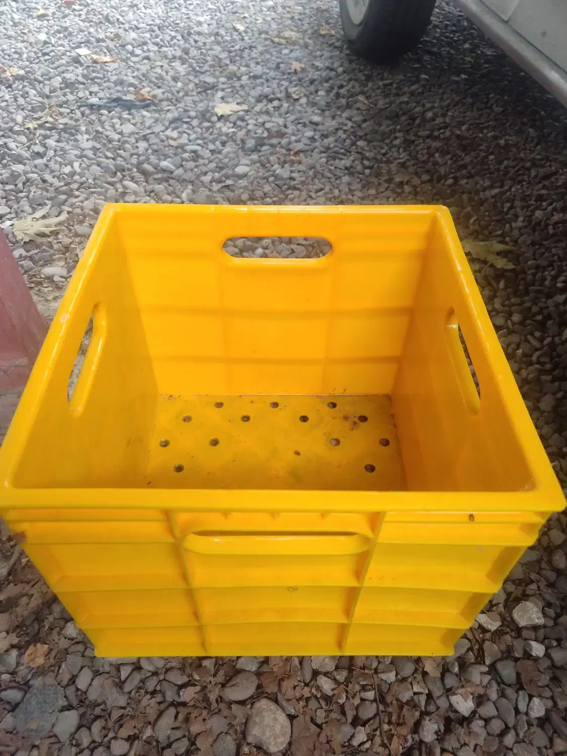 سبد حمل لبنیات وغیره|ظروف نگهدارنده، پلاستیکی، یکبارمصرف|رشت, یخسازی|دیوار