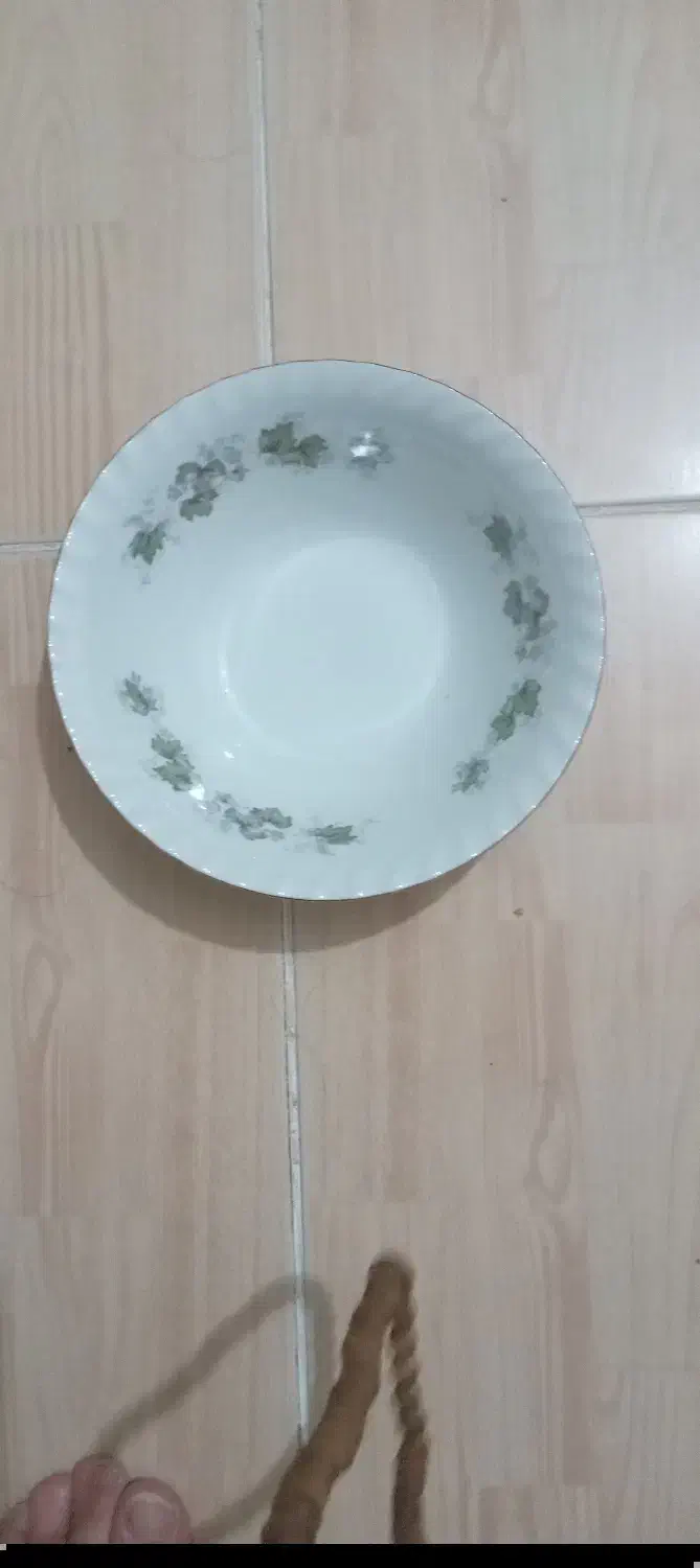 تعدادی چینی قدیمی|کلکسیون اشیاء عتیقه|اصفهان, باغ زرشک|دیوار