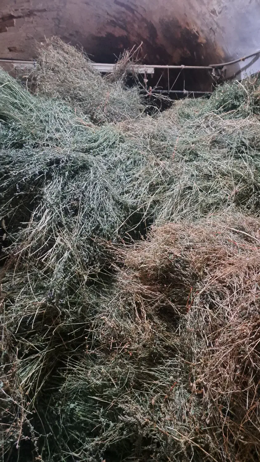 یونجه خشک وکاهش گندم دستگاه|حیوانات مزرعه|داورزن, |دیوار