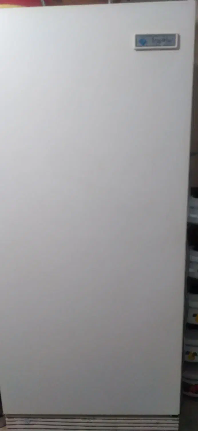 یخچال فریزر|یخچال و فریزر|بروجرد, |دیوار