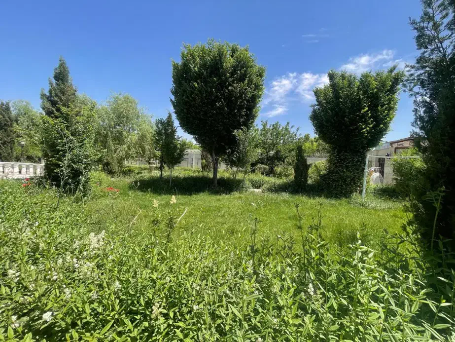 رهن و اجاره باغ ابتدای شاندیز(ویرانی)|اجارهٔ خانه و ویلا|شاندیز, |دیوار