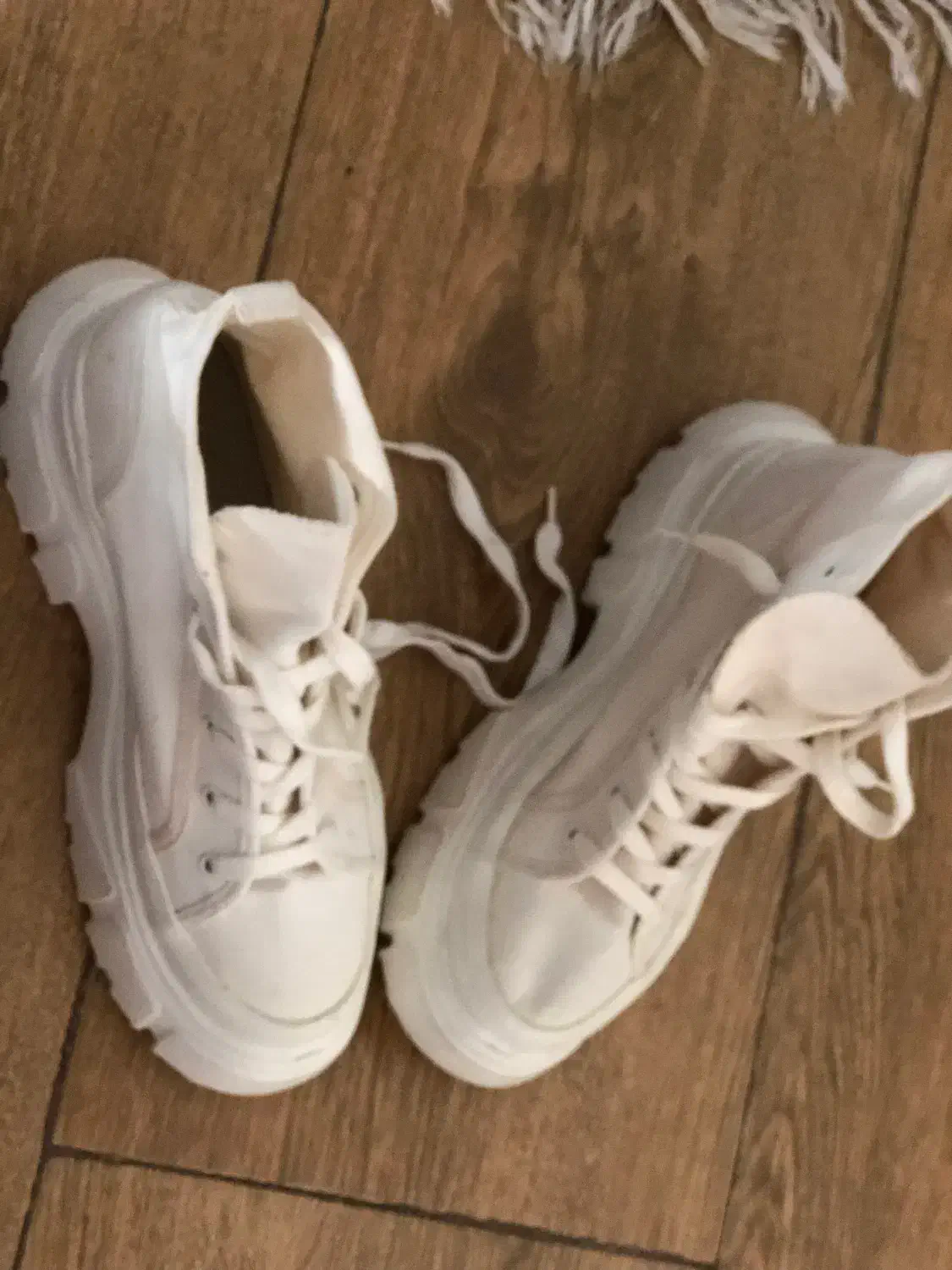 پوتین زارا|کیف، کفش، کمربند|ری, شهادت|دیوار