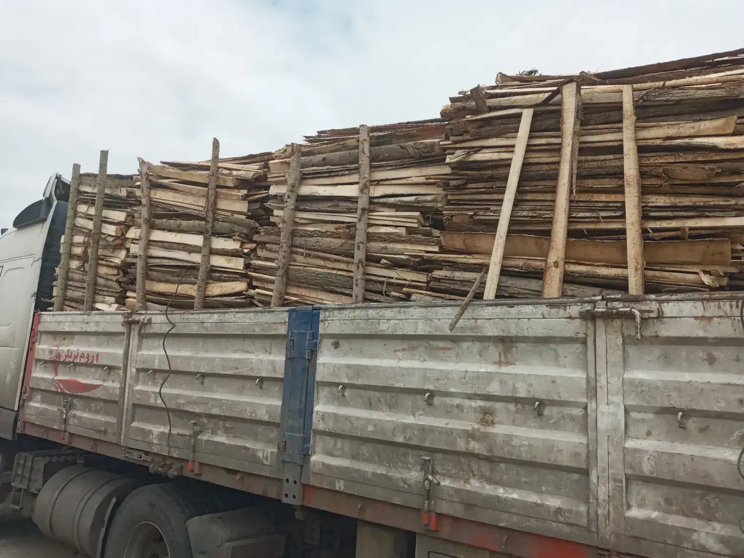 خرید و فروش چوب هیزم باغی پشت لا خاک اره|خدمات باغبانی و درختکاری|تالش, تالش|دیوار