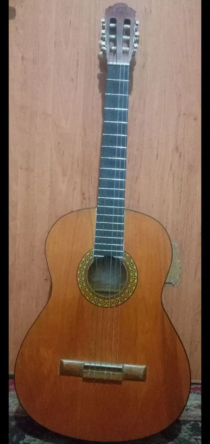 گیتار کاملا نو همراه کاور|گیتار، بیس، امپلیفایر|مشهد, شهرک شهید باهنر|دیوار