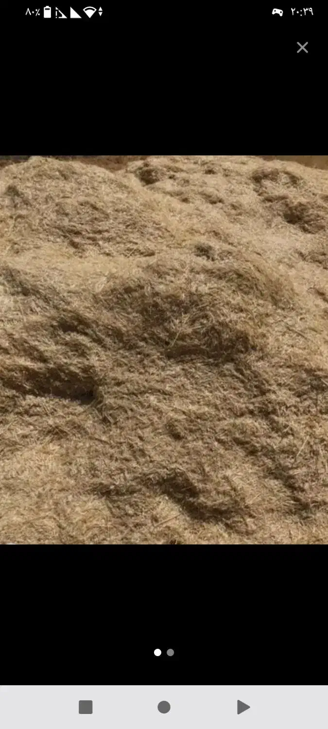 کاه گندم|لوازم جانبی حیوانات|سراجو, |دیوار