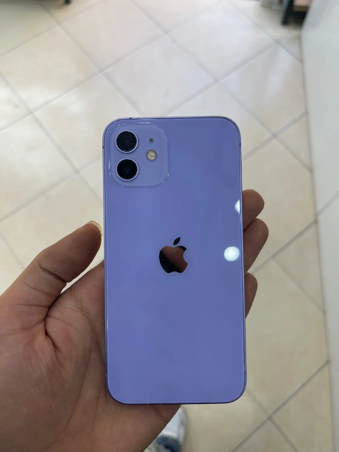 iphone 12 normal|موبایل|پرند, فاز ۲|دیوار