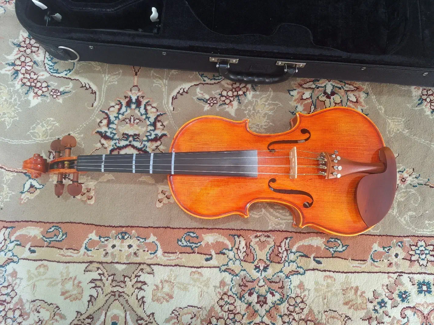 ویولن آندریاس ایست|ویولن|بندر گز, |دیوار