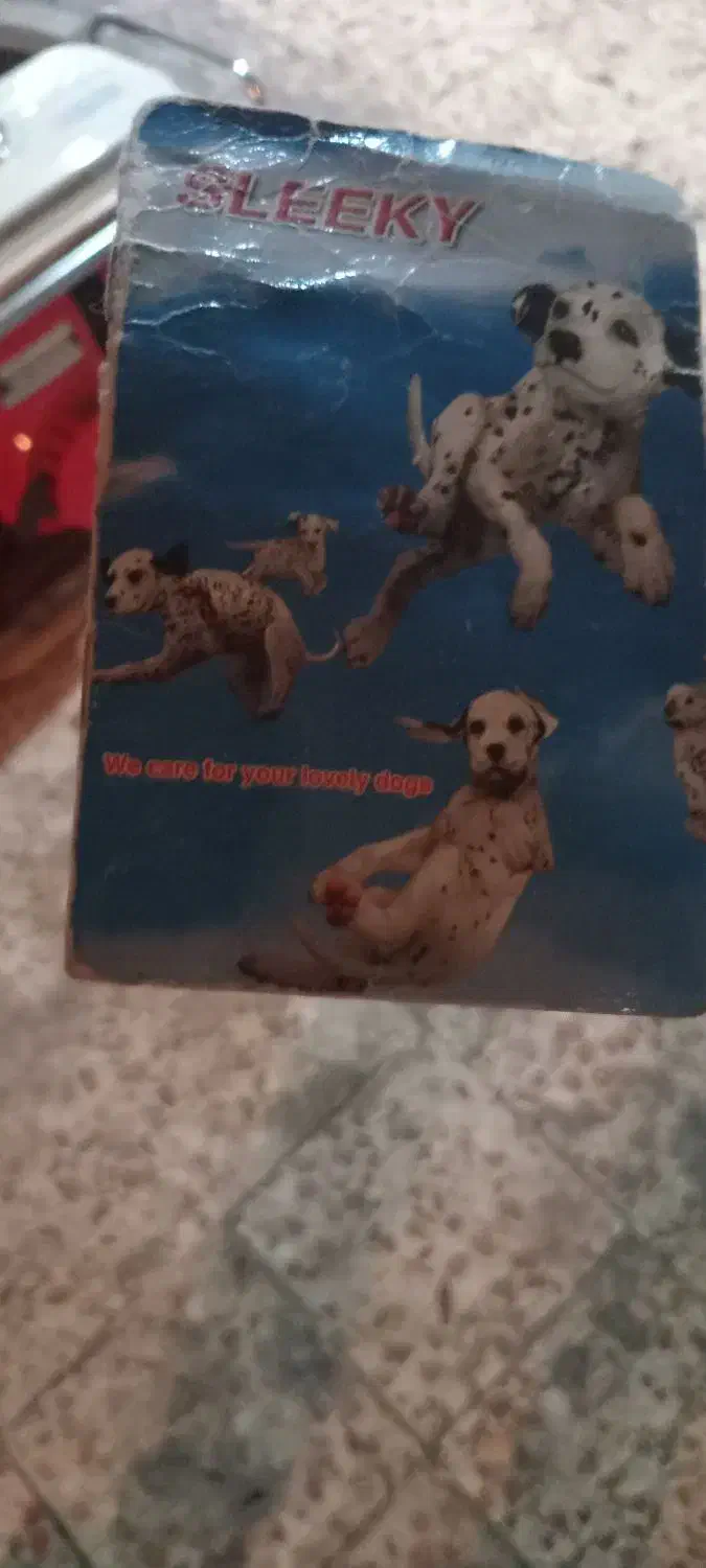 حیوان خانگی|سگ|تهران, پاسداران|دیوار