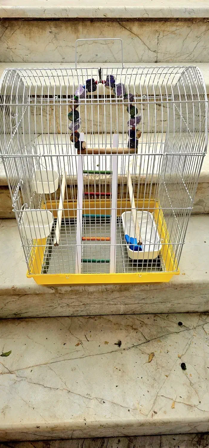 قفس پرنده|لوازم جانبی حیوانات|قم, بنیاد|دیوار