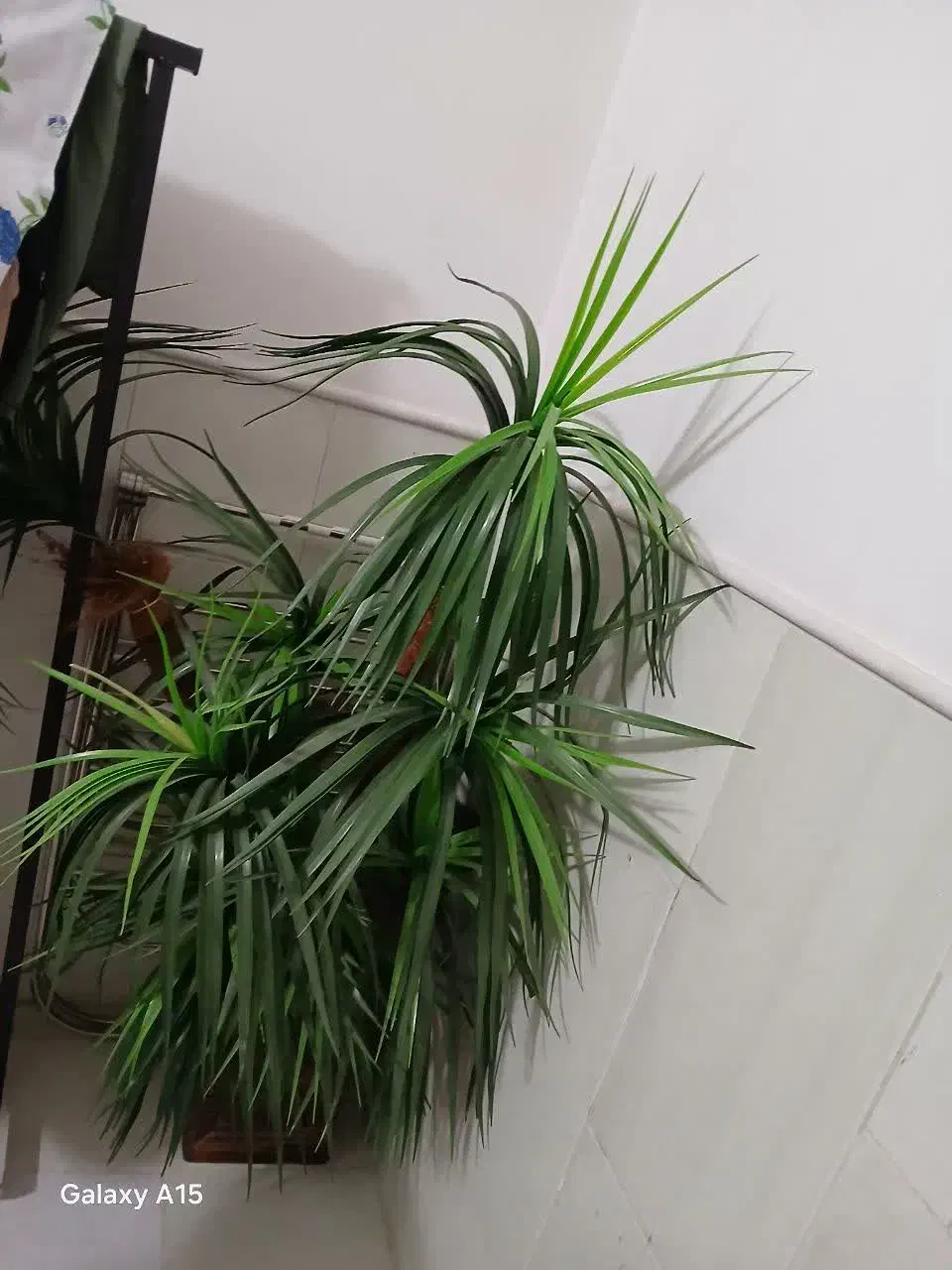 گل مصنوعی باگلدان بزرگ|گل مصنوعی|اردکان, |دیوار