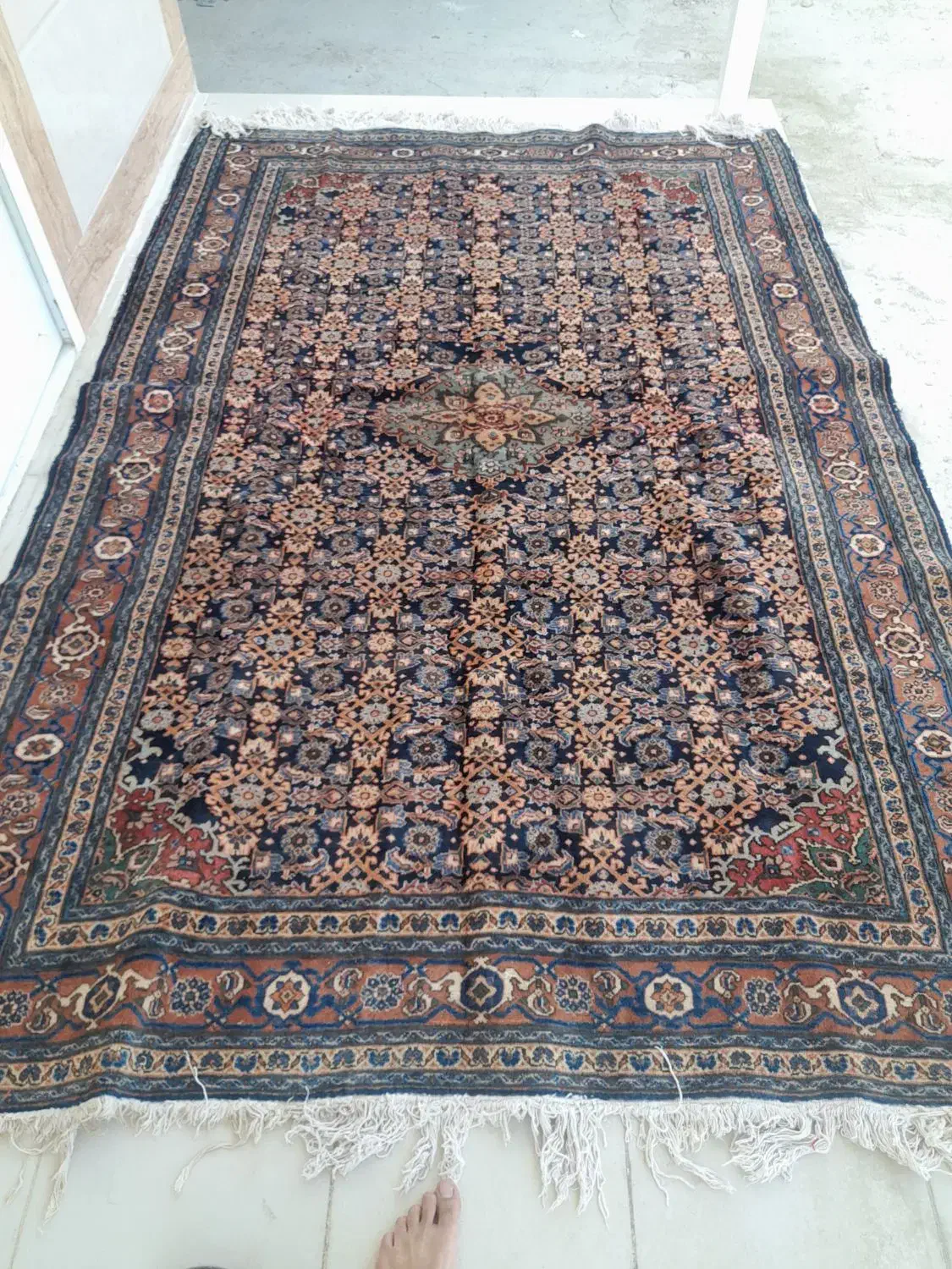 قالیچه دستباف شیش متری|فرش|بجنورد, |دیوار