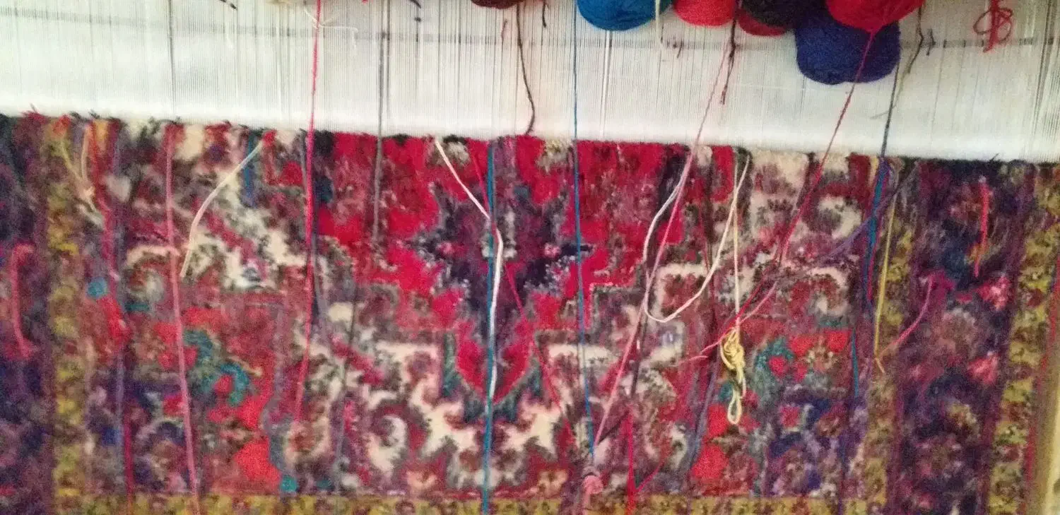 قالی نیمه کاره|فرش|بستان آباد, |دیوار