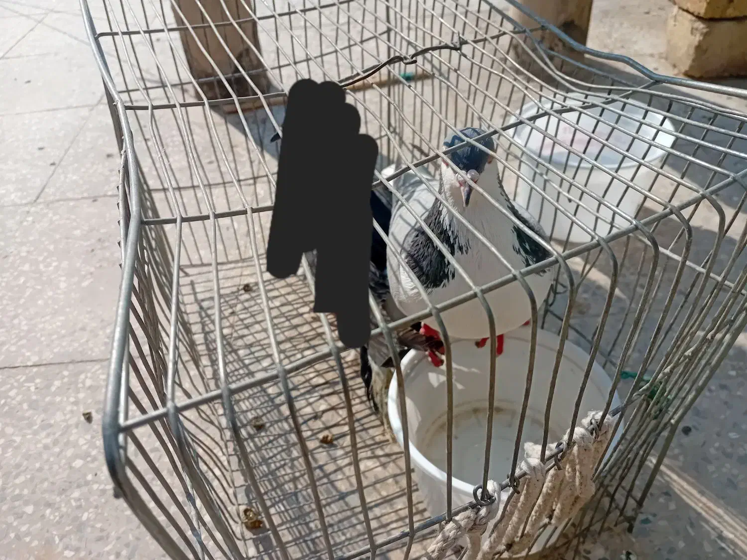 راهنمایی|فعالیت داوطلبانه|اصفهان, ارداجی|دیوار