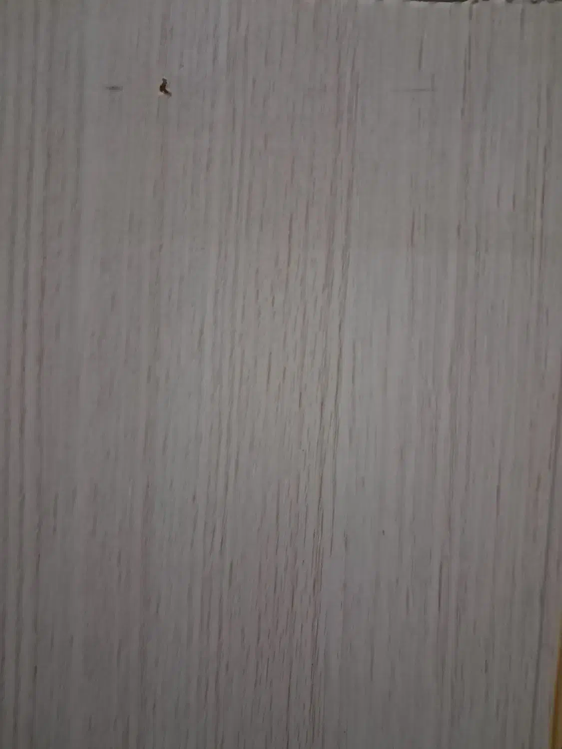 پنل دیواری|عمده‌فروشی|اردبیل, |دیوار