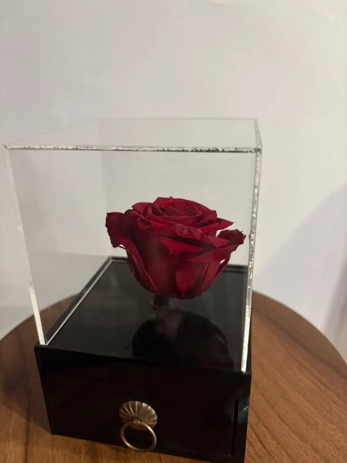 رز جاودان|گل و گیاه طبیعی|کرج, عظیمیه|دیوار