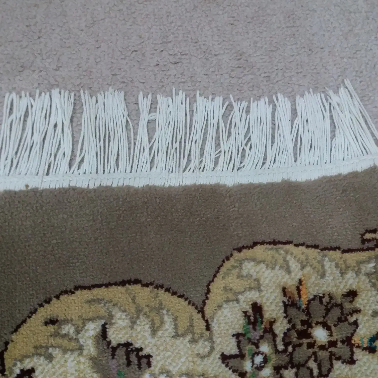 فرش ۱۲متری ۵۰۰شانه|فرش|گرگان, |دیوار