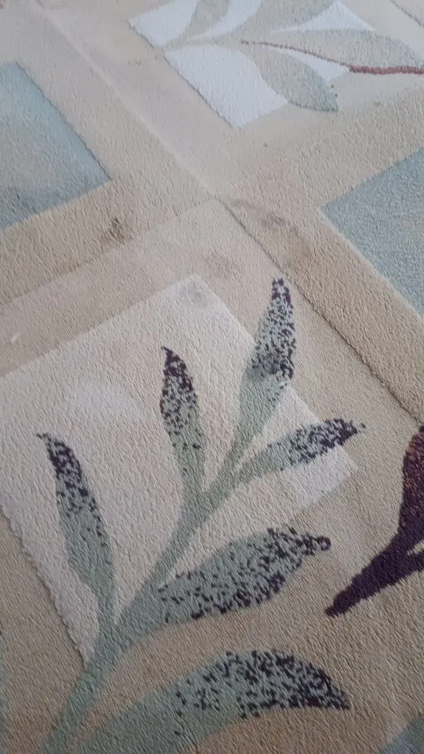 یک عدد گلیم فرش ۶ متری تمیز شسته شده|فرش|اندیمشک, |دیوار