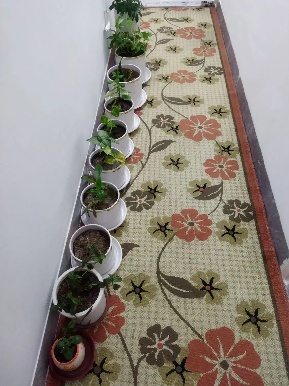 گلیم فرش|گلیم، جاجیم، گبه|کرمانشاه, |دیوار