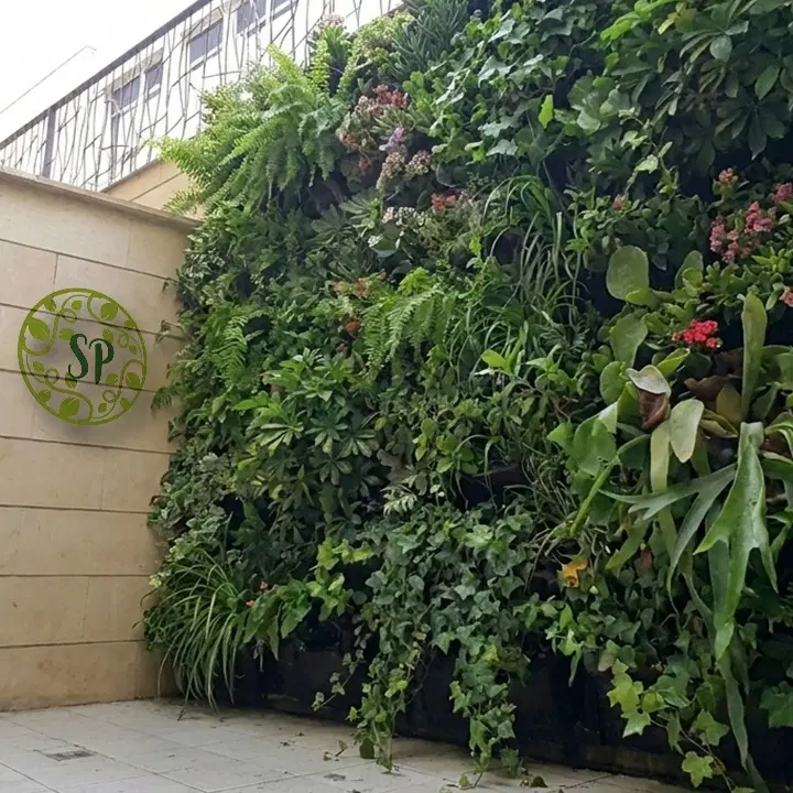 دیوار سبز و گرینوال مدل SP.FloraFelt|گل و گیاه طبیعی|تهران, جردن|دیوار