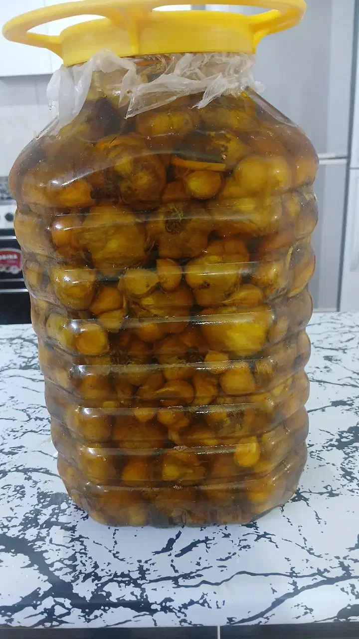 سیر ترشی ۷ ساله کیلویی ۲۰۰ هزار تومان|خوردنی و آشامیدنی|رزن, |دیوار